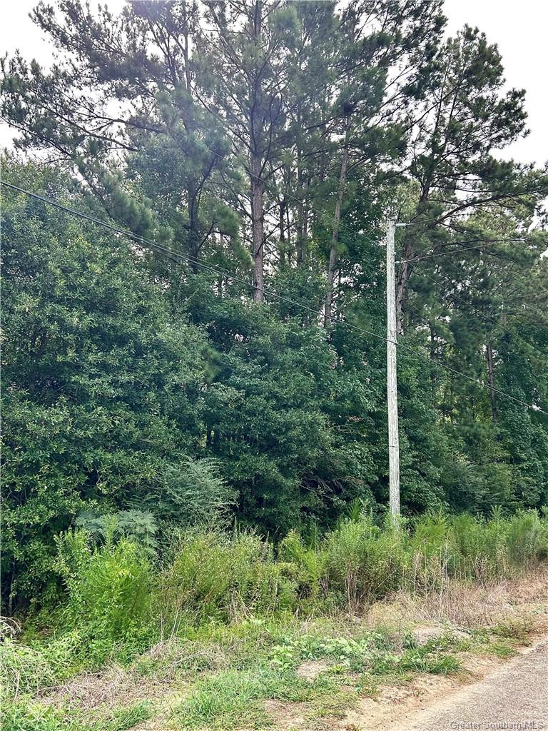 0 Virgil Sims Road Deridder, LA 70634 - Photo 3 of 3