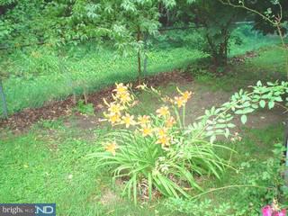 3260 Quakerbridge Road Trenton, NJ 08619 - Photo 5 of 6