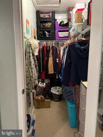 13050 Townsend Road, Unit G2 Philadelphia, PA 19154 - Photo 14 of 18 Walk in closet
