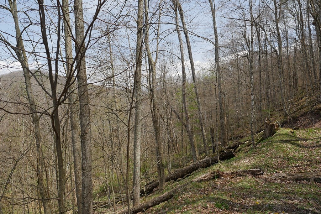 Tbd Unity Road, Unit 1 North Tazewell, VA 24630 - Photo 78 of 92 Gallery Image 78