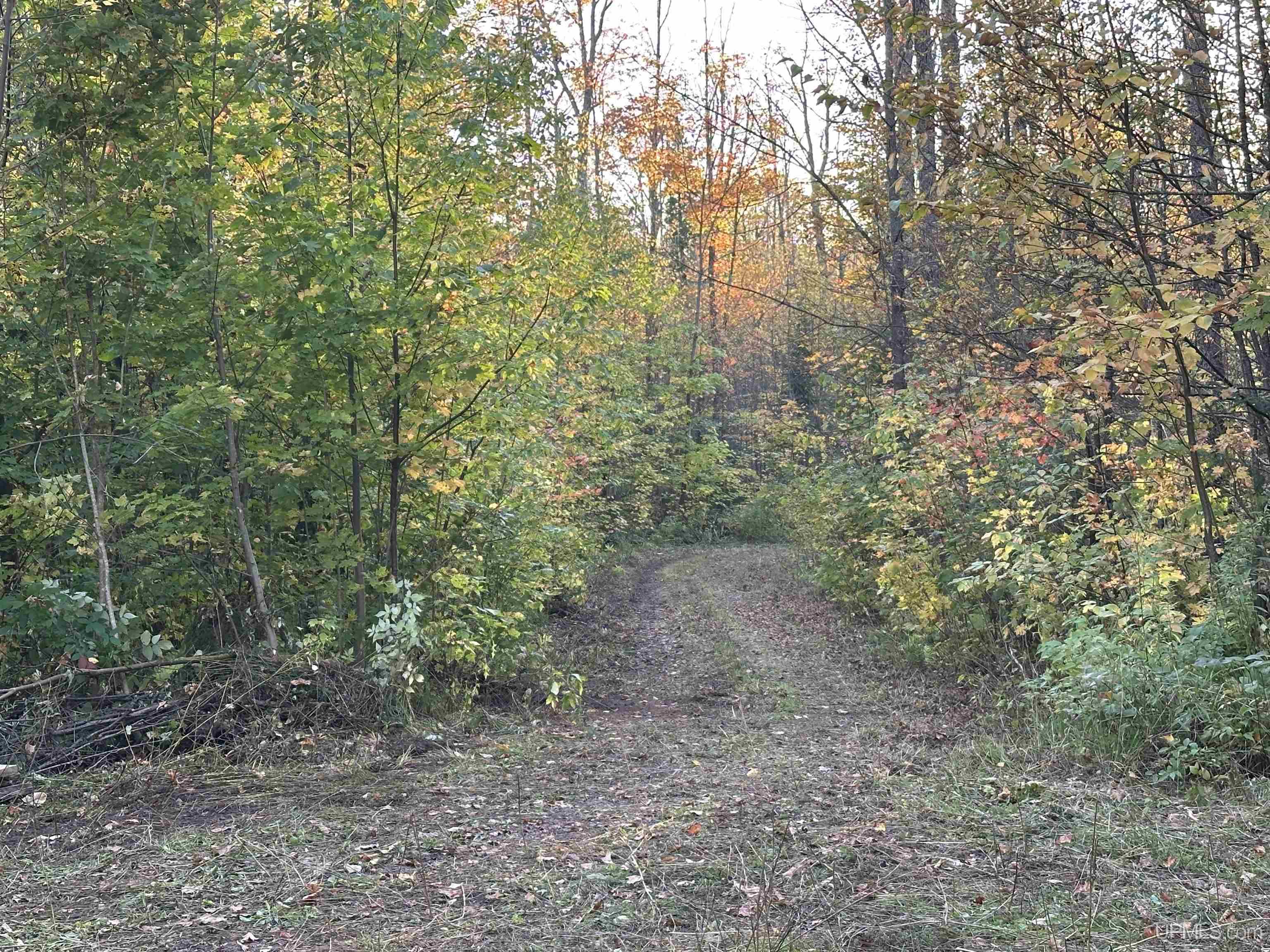 Off Forest Rd 250 Road Bergland, MI 49910 - Photo 17 of 17