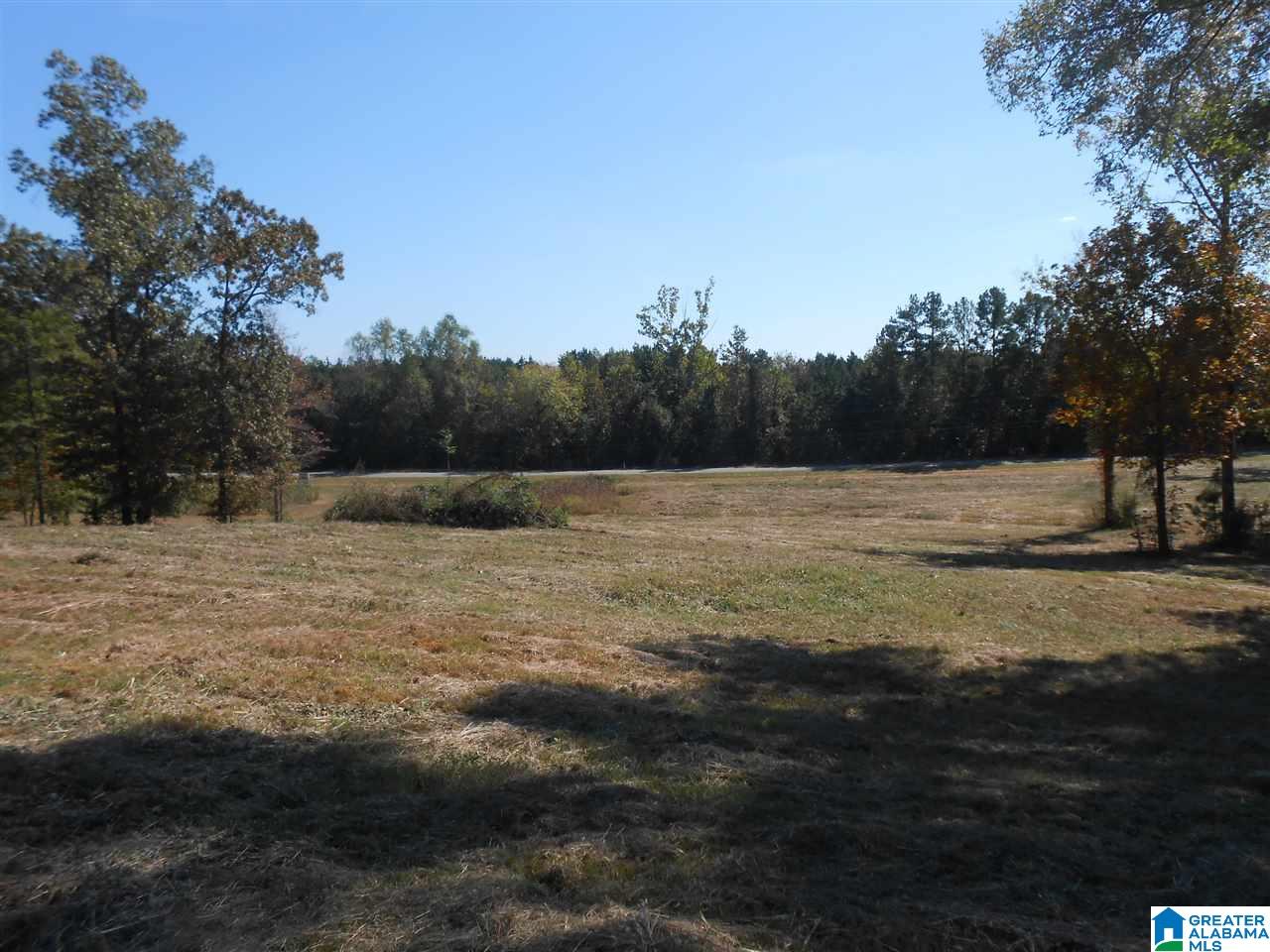 11 Highway Steele Al Steele, AL 35987 - Photo 2 of 8