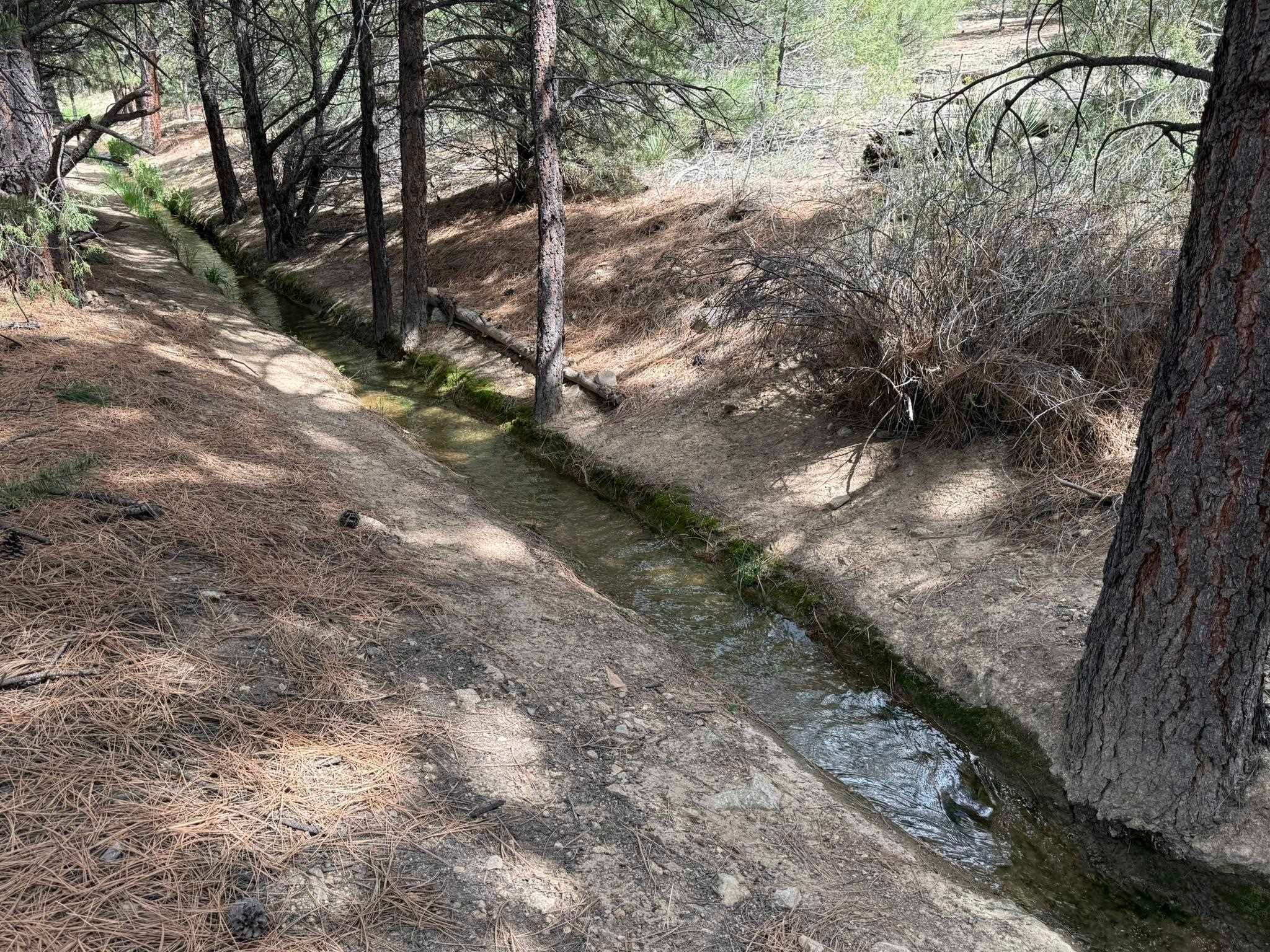 2318 Old Red River Road, Unit B Questa, NM 87556 - Photo 24 of 35 Gallery Image 24