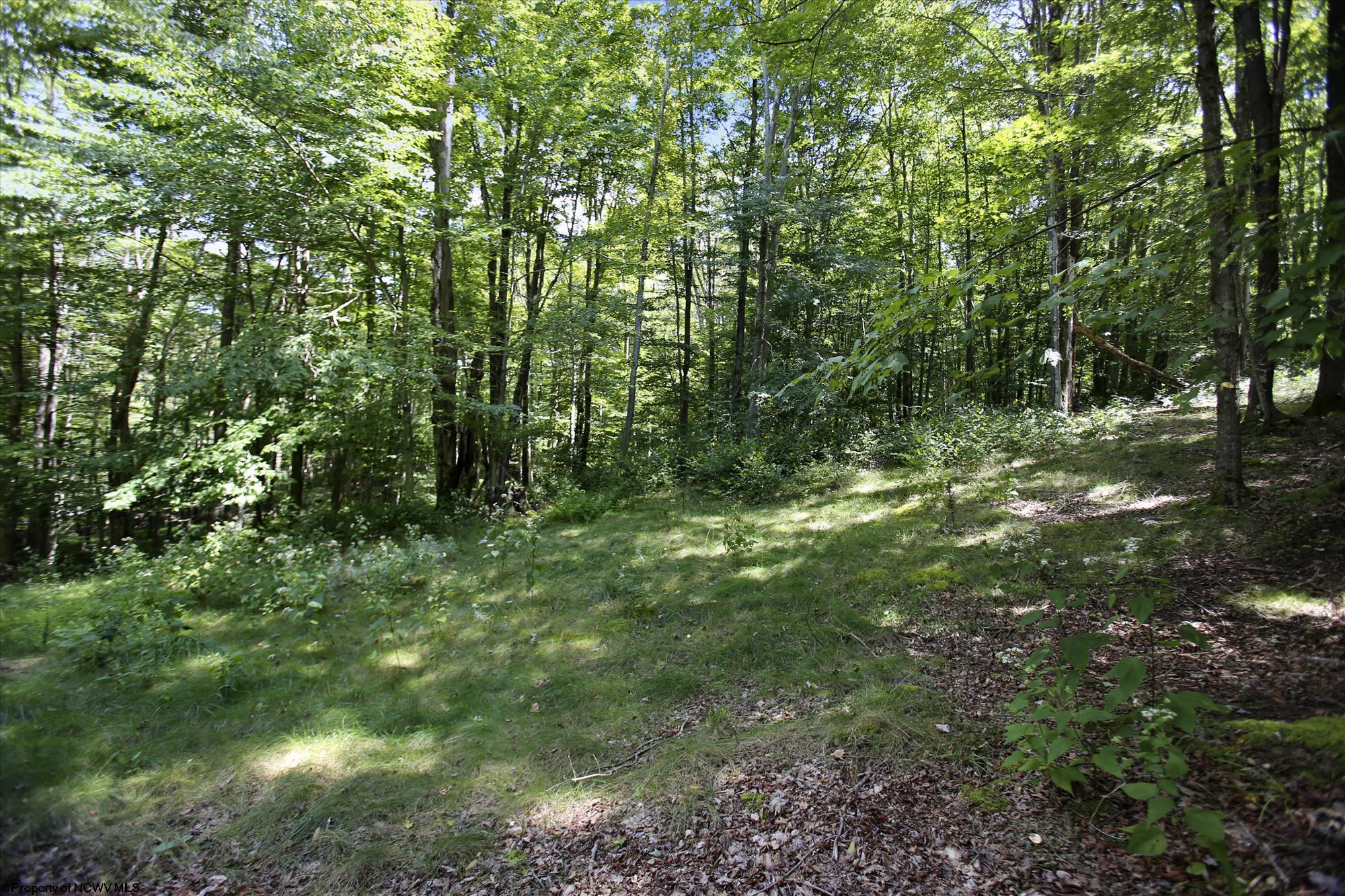 378 Sand Run Road Davis, WV 26260 - Photo 29 of 30 Gallery Image 29