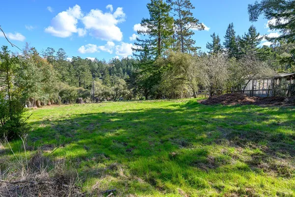 a view of a grassy field with trees in the background