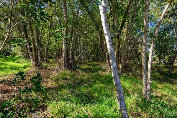 $449,000 | 1120 West Sexton Road, Sebastopol, CA 95472