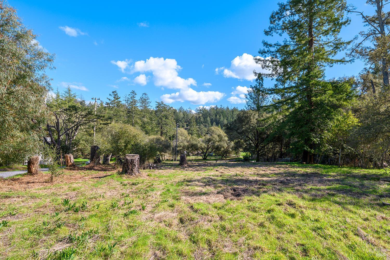 1120 West Sexton Road Sebastopol, CA 95472 - Photo 14 of 15 a view of outdoor space with garden and trees