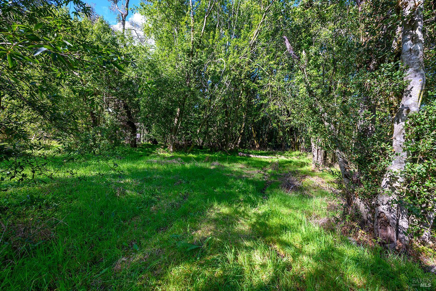 1120 West Sexton Road Sebastopol, CA 95472 - Photo 10 of 15 a view of outdoor space with a garden