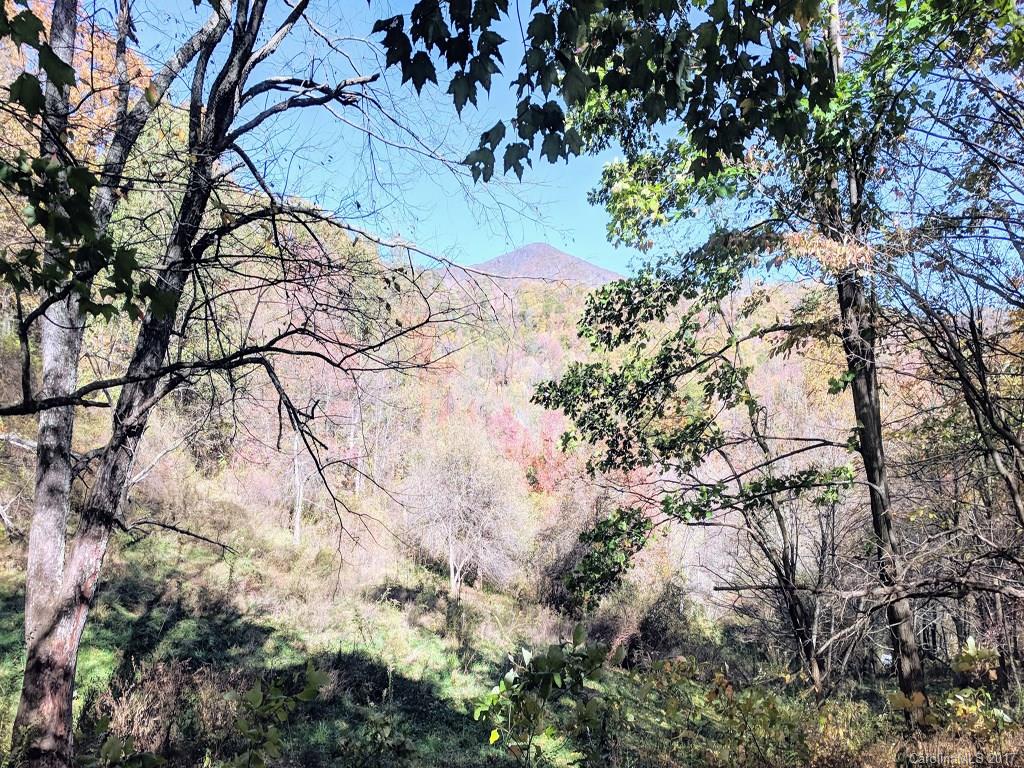 0 Home Place Road Maggie Valley, NC 28751 - Photo 3 of 8