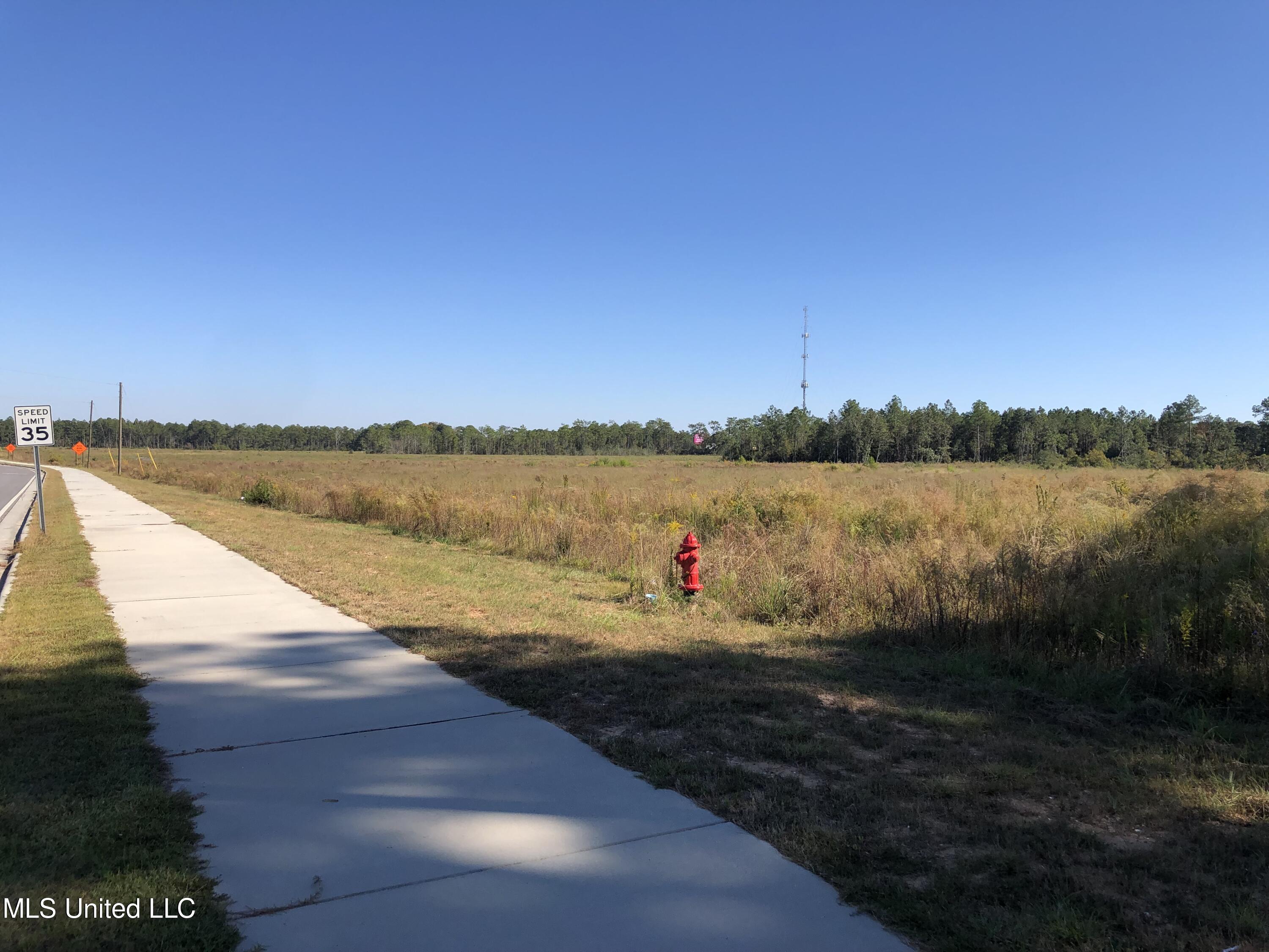 Cook Road Biloxi, MS 39532 - Photo 1 of 1 Lookinig South