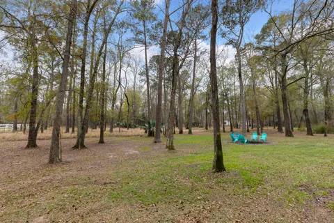 a view of park with trees