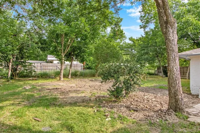 a view of a yard with plants and large trees