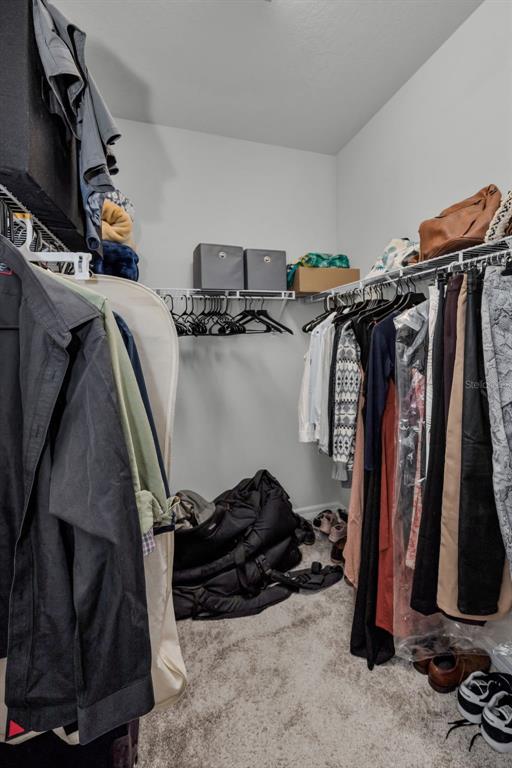 12386 Criollo Road Spring Hill, FL 34610 - Photo 36 of 78