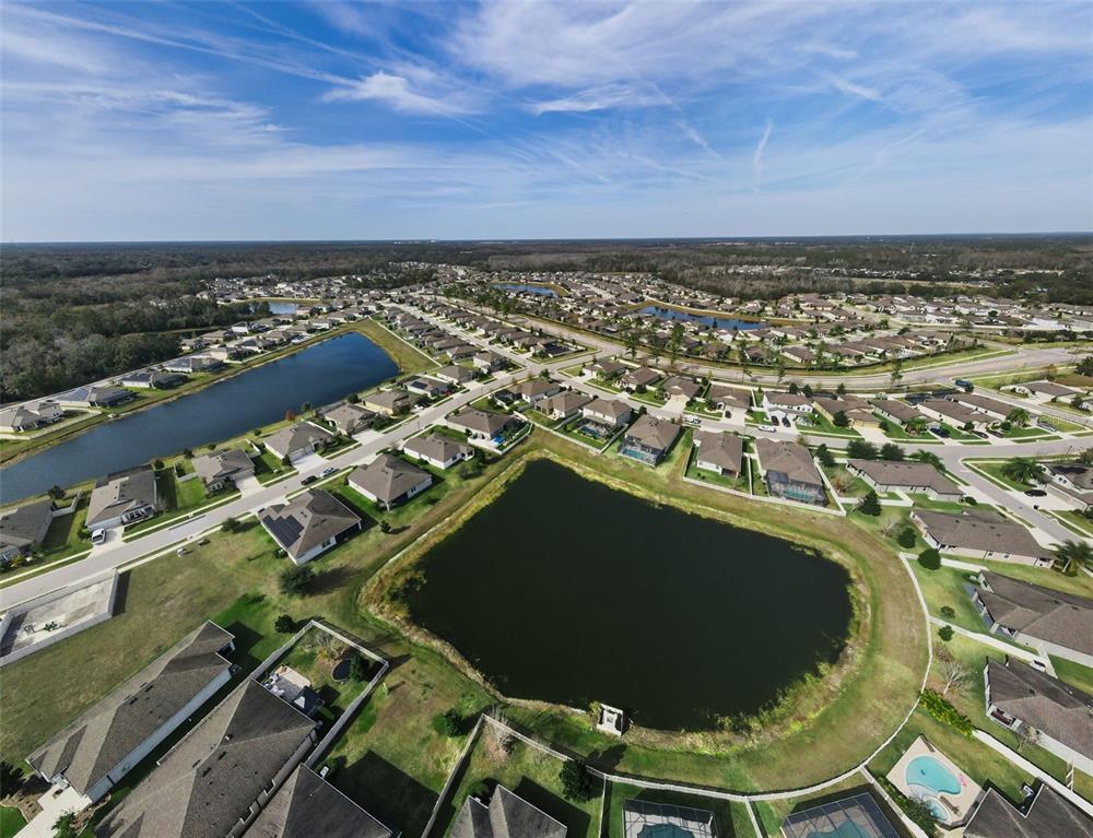 12386 Criollo Road Spring Hill, FL 34610 - Photo 49 of 78