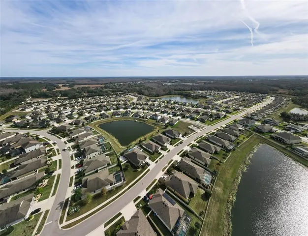 a view of a backyard with plants