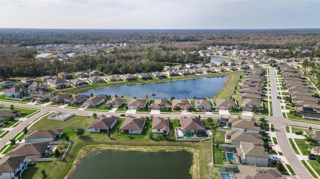 12386 Criollo Road Spring Hill, FL 34610 - Photo 53 of 78