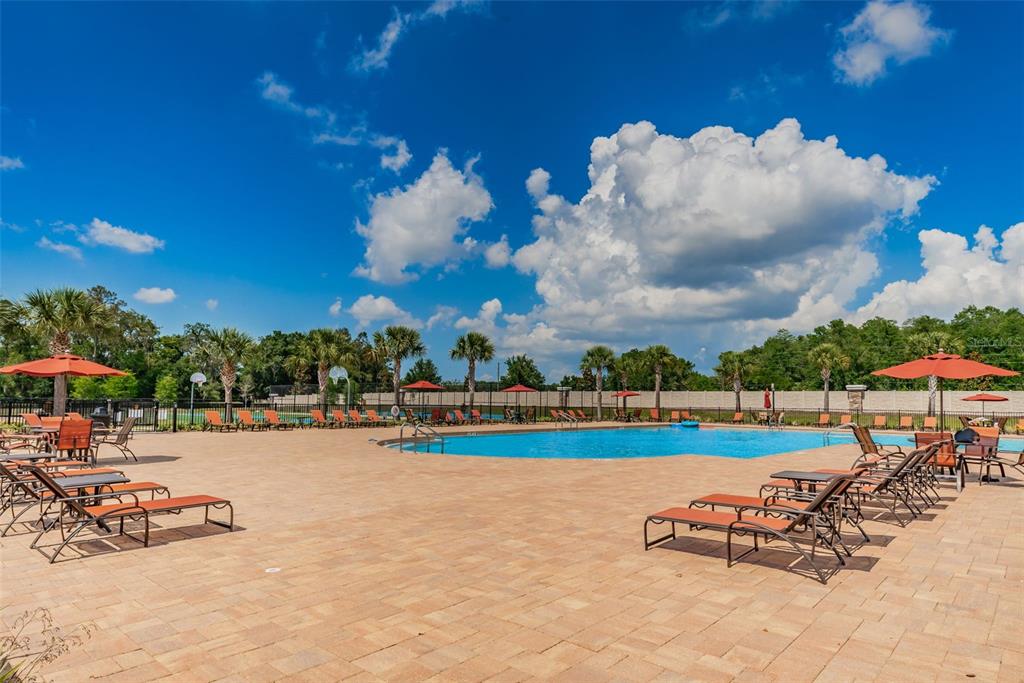 12386 Criollo Road Spring Hill, FL 34610 - Photo 59 of 78