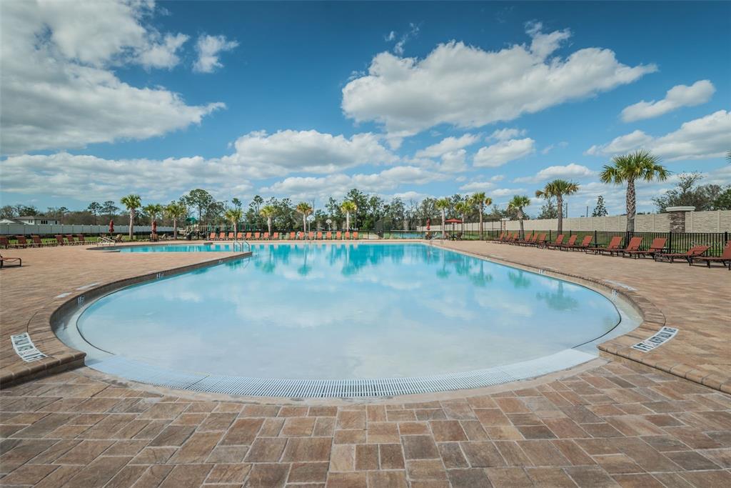 12386 Criollo Road Spring Hill, FL 34610 - Photo 62 of 78