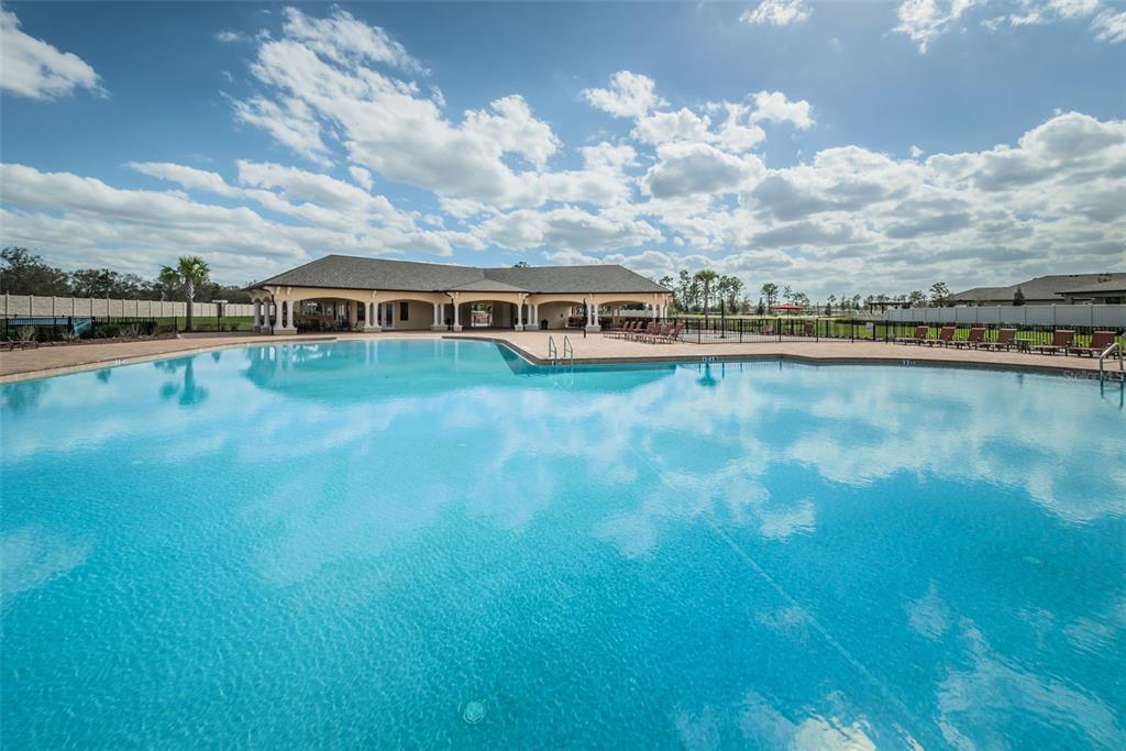 12386 Criollo Road Spring Hill, FL 34610 - Photo 64 of 78