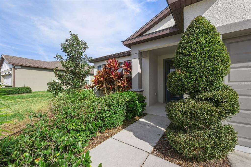 12386 Criollo Road Spring Hill, FL 34610 - Photo 10 of 78