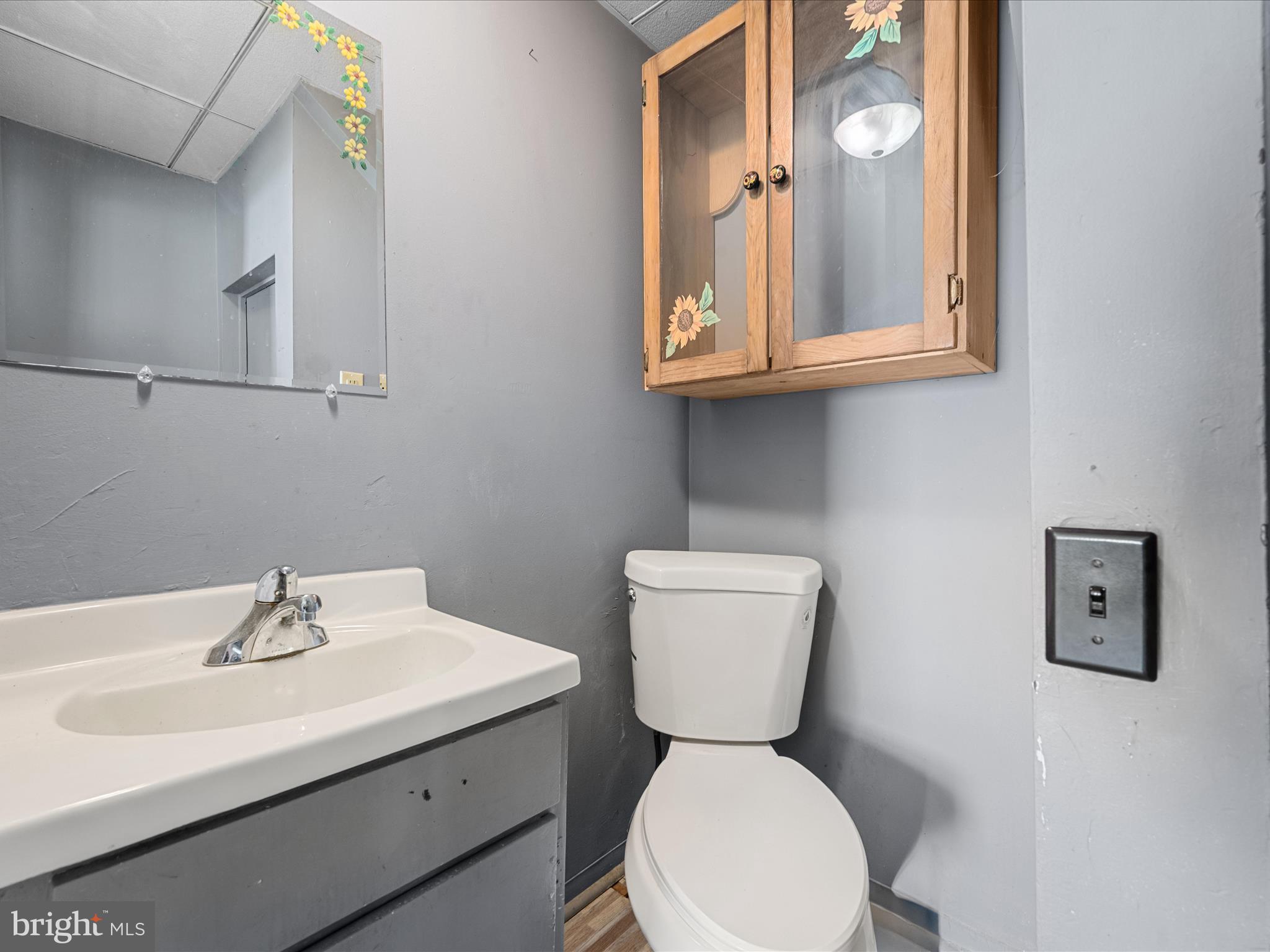306 West 6th Avenue Ranson, WV 25438 - Photo 19 of 46 a bathroom with a toilet sink and mirror