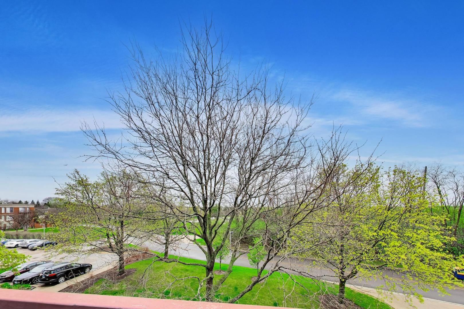 362 Kelburn Road, Unit 322 Deerfield, IL 60015 - Photo 28 of 31