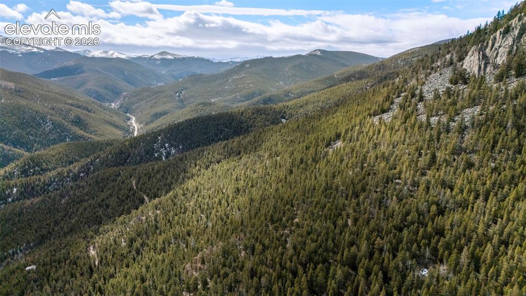 Alps Mountain Road Idaho Springs, CO 80452 - Photo 7 of 7