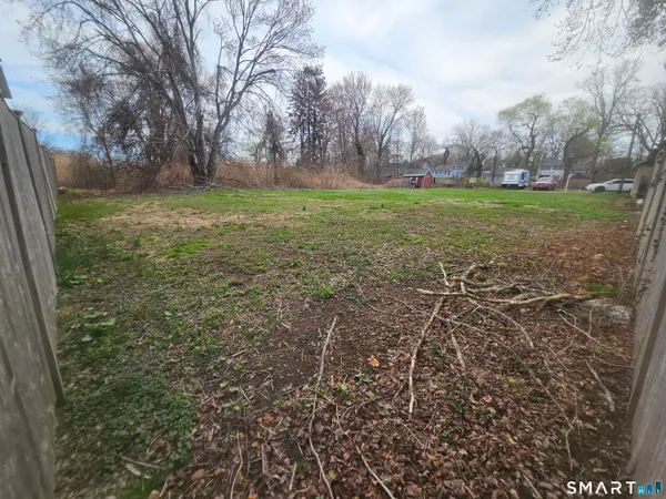 a view of a trees with a yard