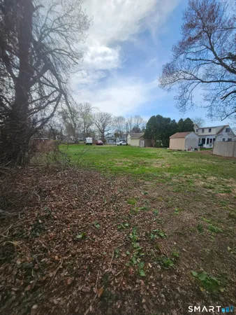 a view of a big yard with plants and large trees