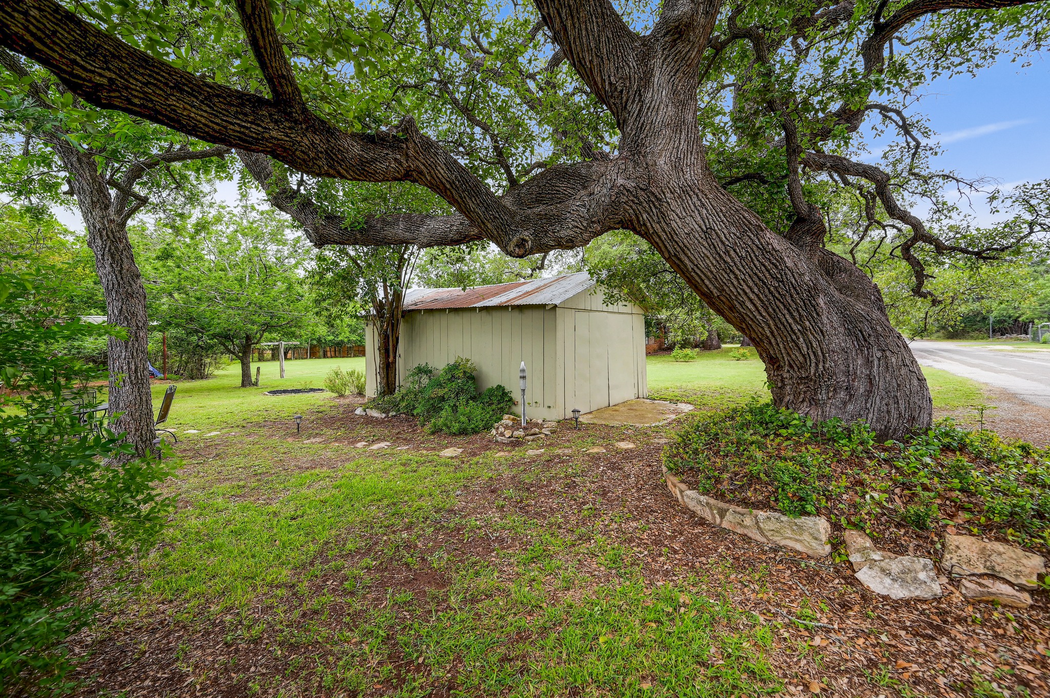 719 Elm Street Blanco, TX 78606 - Photo 23 of 25 Mature tree with extensive canopy and natural stone-edged planting bed