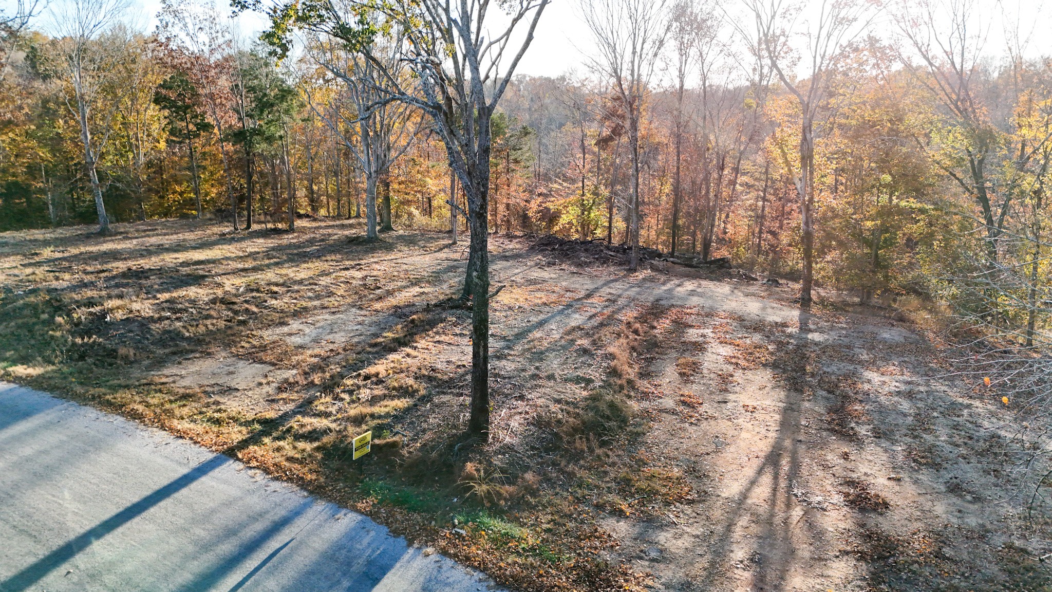 0 Chestnut Grove Road Pulaski, TN 38478 - Photo 12 of 37 a view of dirt yard with a tree