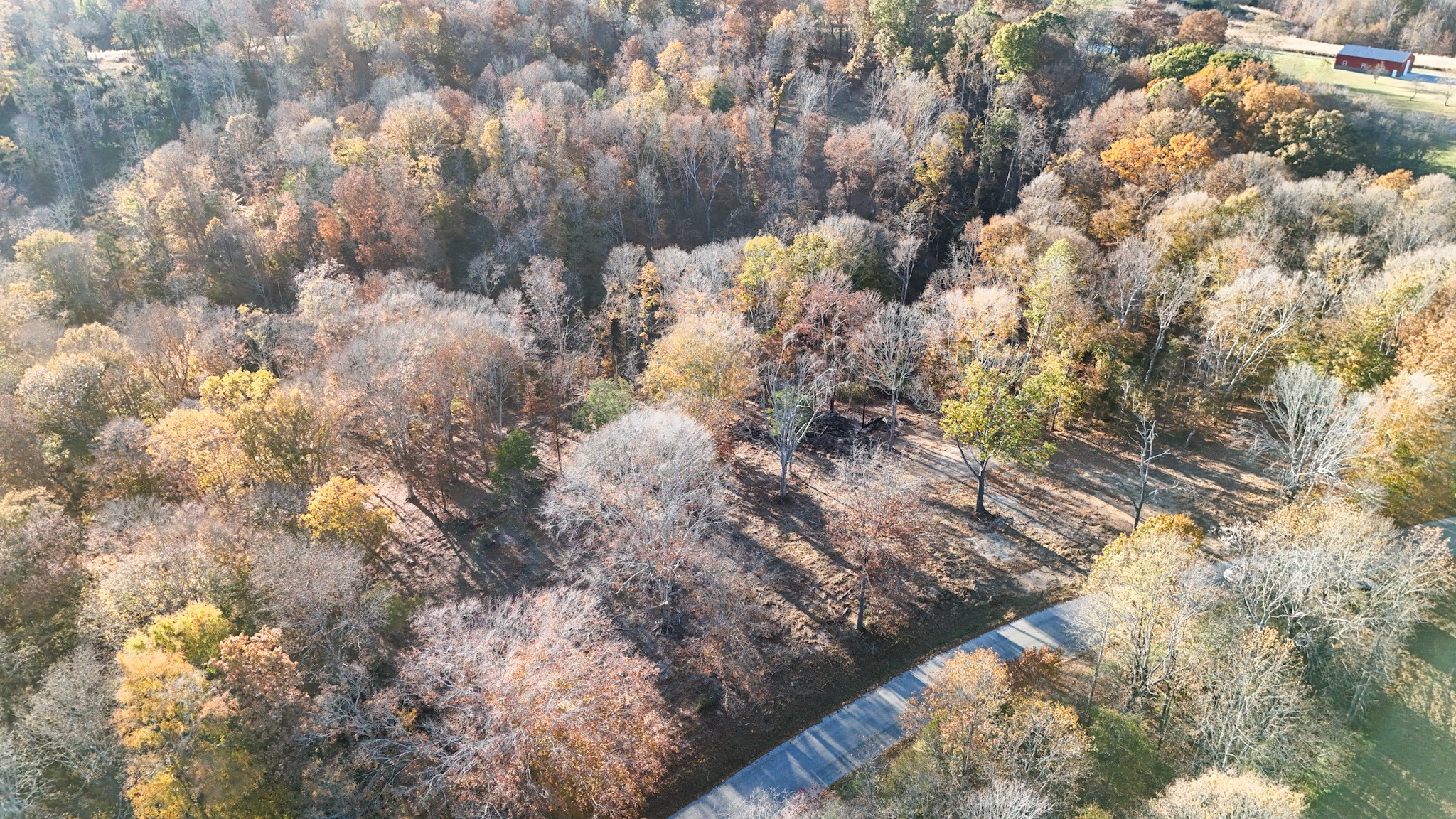 0 Chestnut Grove Road Pulaski, TN 38478 - Photo 14 of 37 a view of a yard