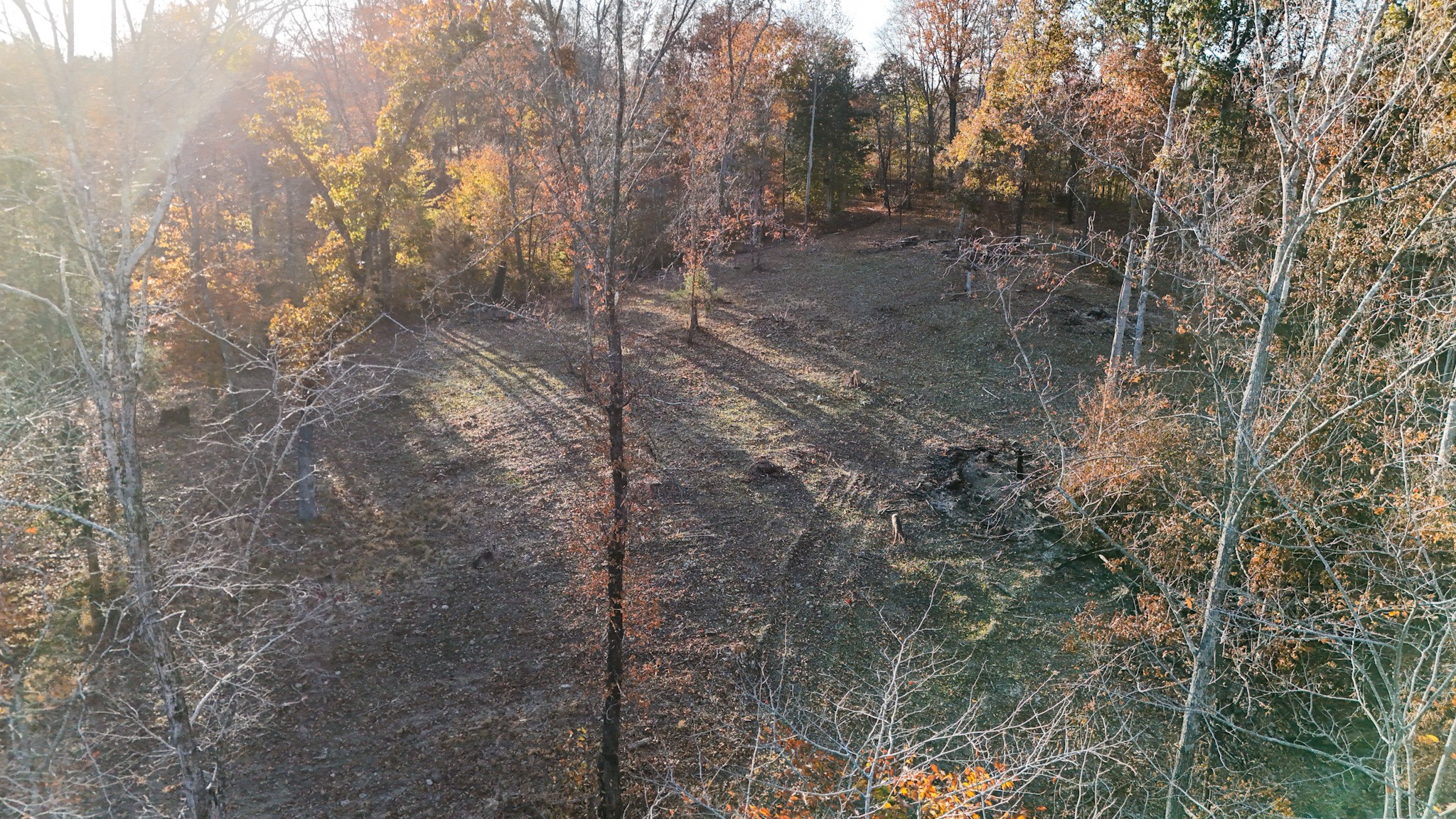 0 Chestnut Grove Road Pulaski, TN 38478 - Photo 19 of 37 a view of a forest with trees in the background