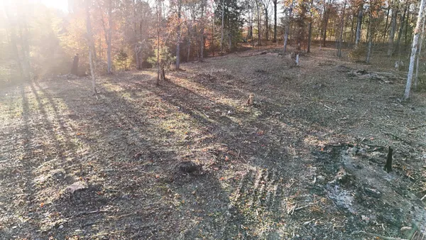 a view of a forest with trees in the background