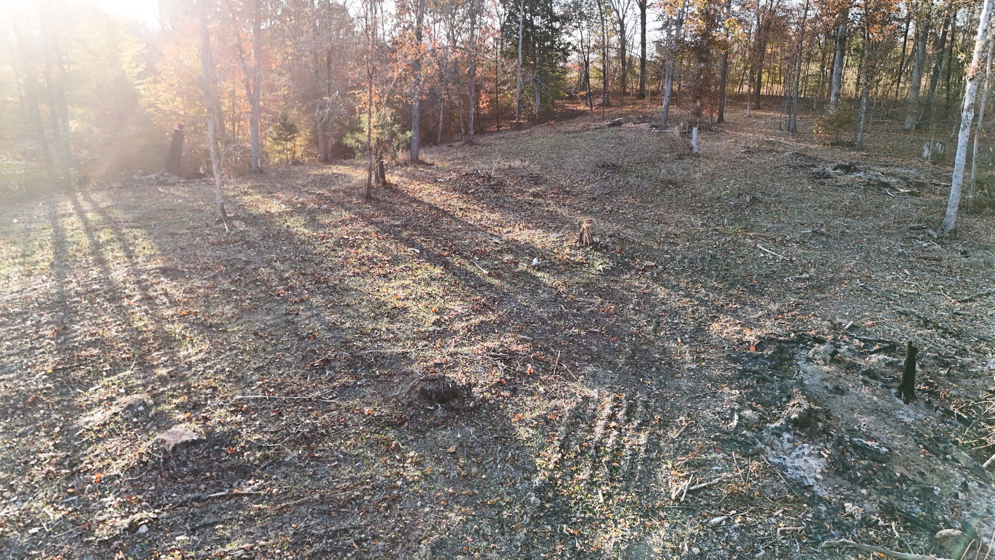 0 Chestnut Grove Road Pulaski, TN 38478 - Photo 2 of 37 a view of a forest with trees in the background