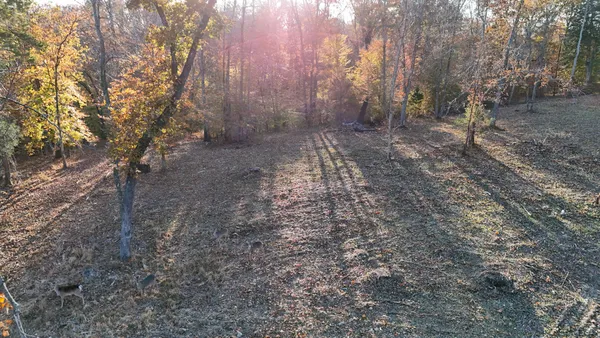 a view of a yard with trees