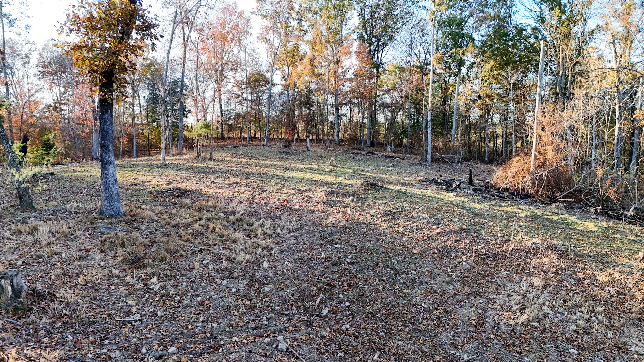 0 Chestnut Grove Road Pulaski, TN 38478 - Photo 25 of 37 a backyard of a house with lots of green space