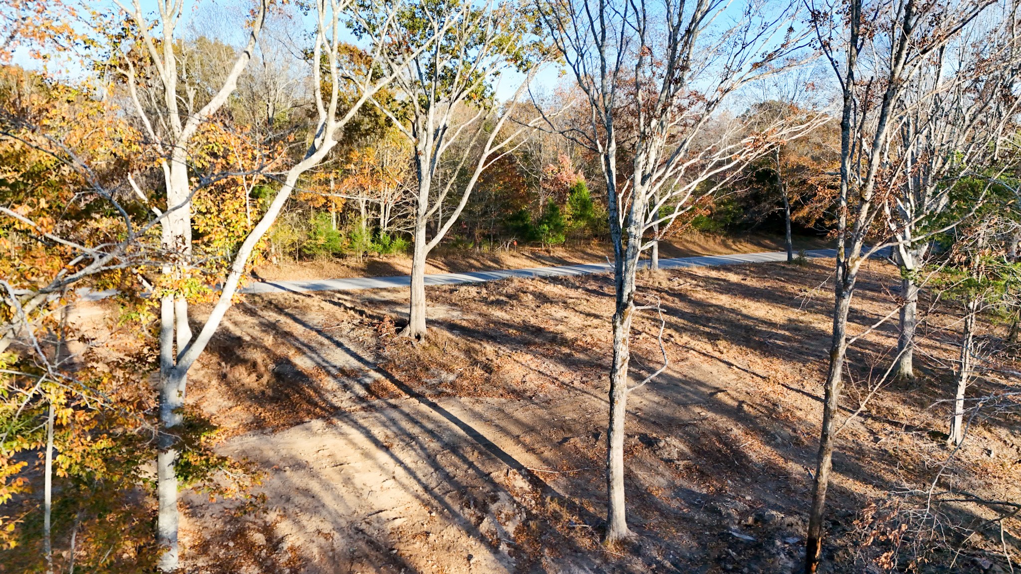0 Chestnut Grove Road Pulaski, TN 38478 - Photo 27 of 37 a backyard of a house with lots of green space