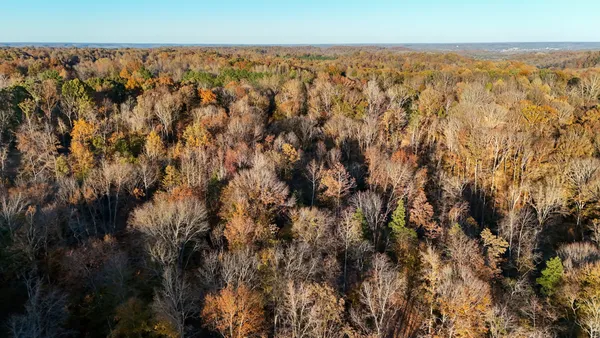 a view of city and green space