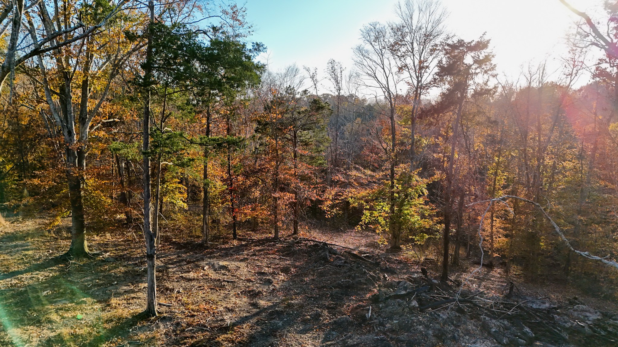0 Chestnut Grove Road Pulaski, TN 38478 - Photo 35 of 37 a view of a forest