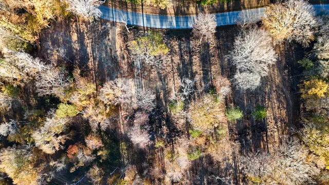 a view of a buildings with a tree