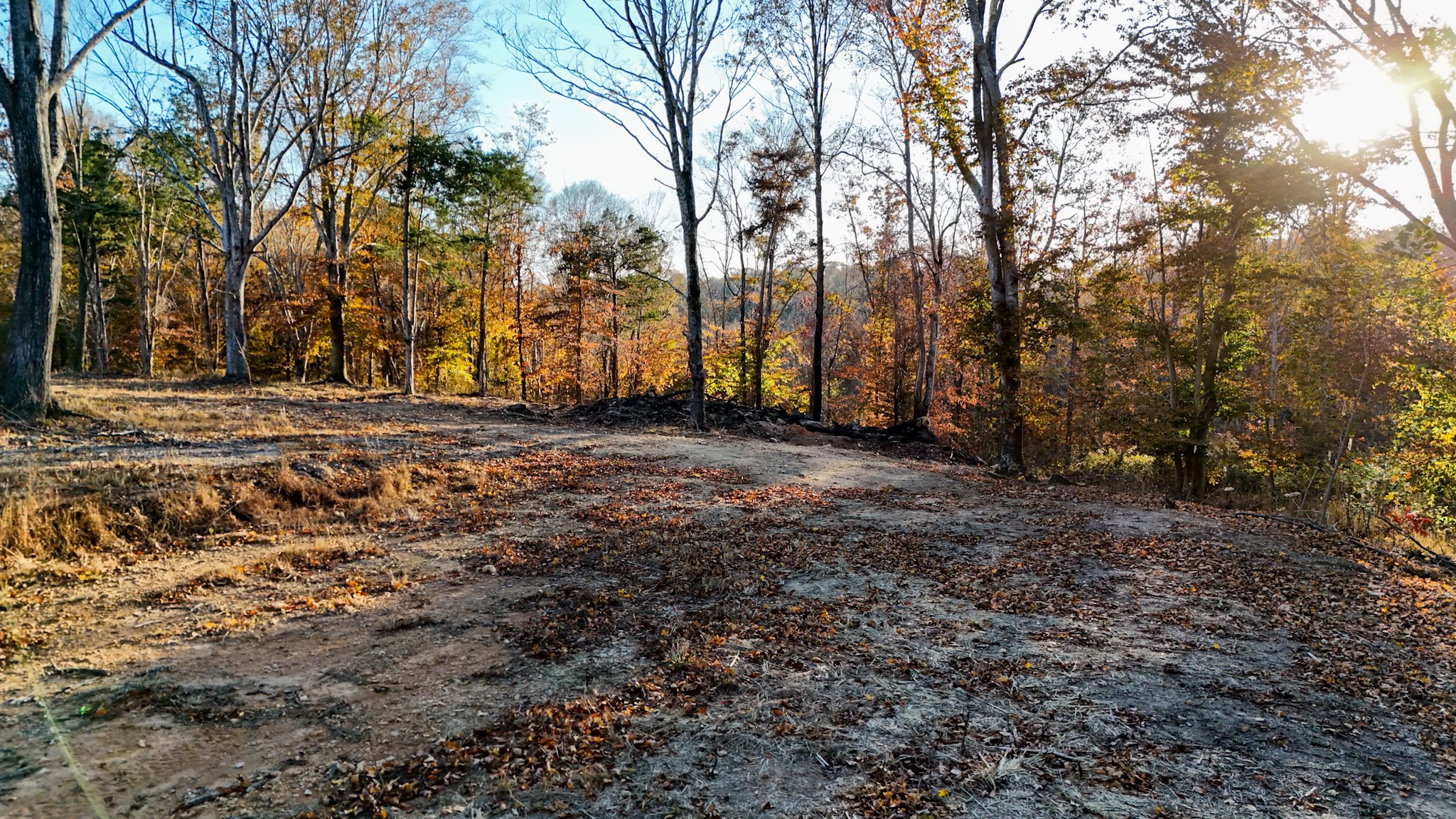 0 Chestnut Grove Road Pulaski, TN 38478 - Photo 10 of 37 a view of a yard with trees