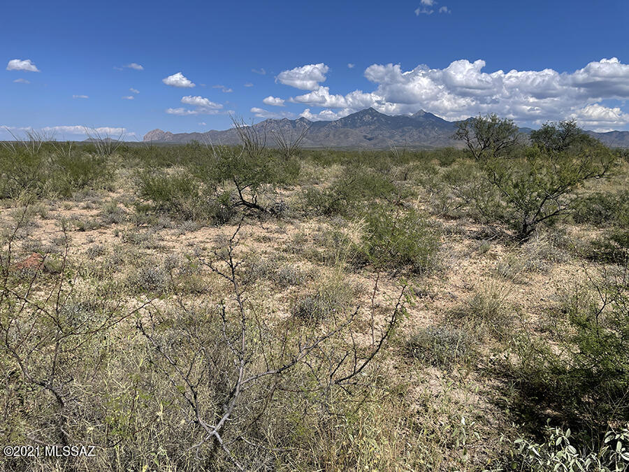 Tbd Camino Nacozari, Unit 71 Rio Rico, AZ 85648 - Photo 1 of 7