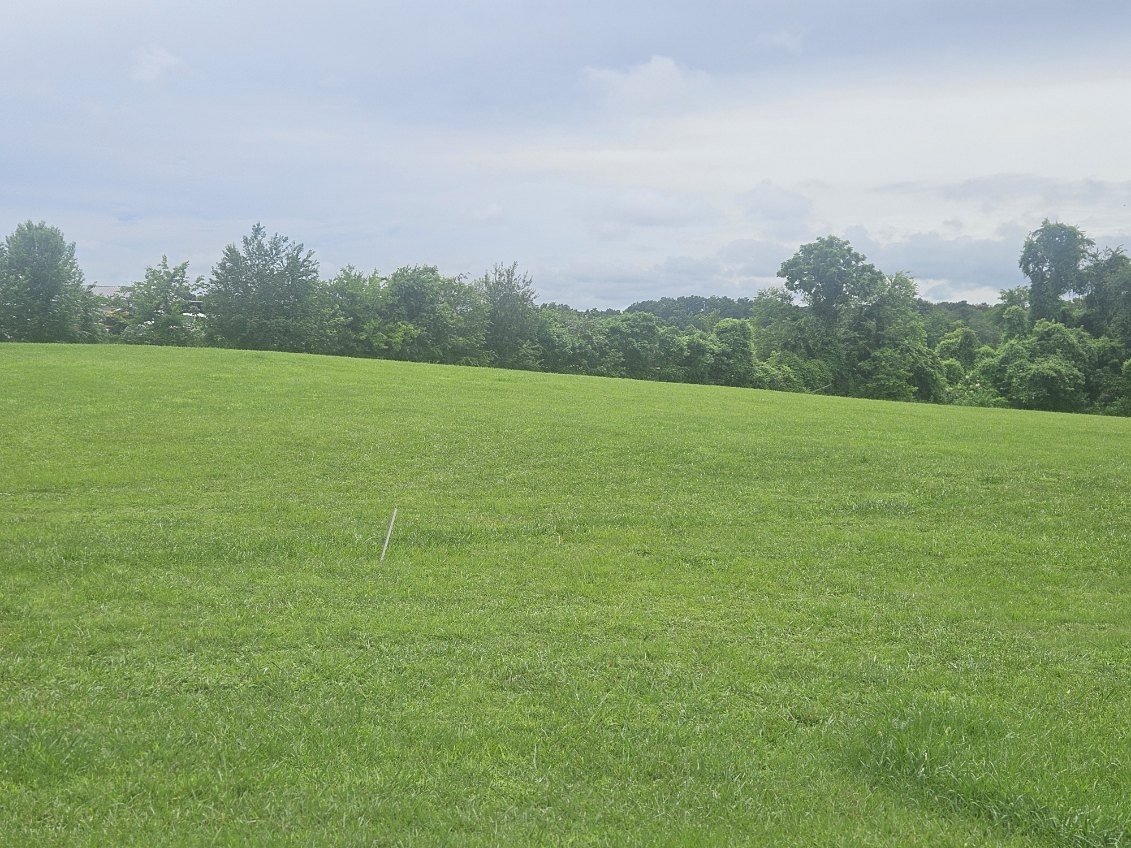 5080 Highway 41 Springfield, TN 37172 - Photo 5 of 24