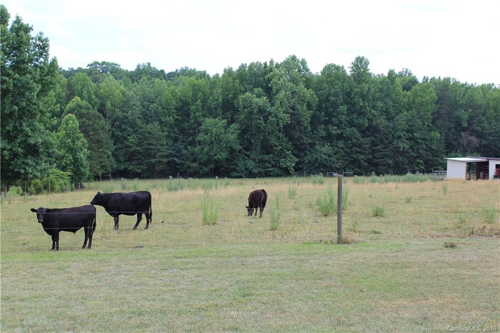 564 Cruse Road Salisbury, NC 28146 - Photo 10 of 22 Gallery Image 10