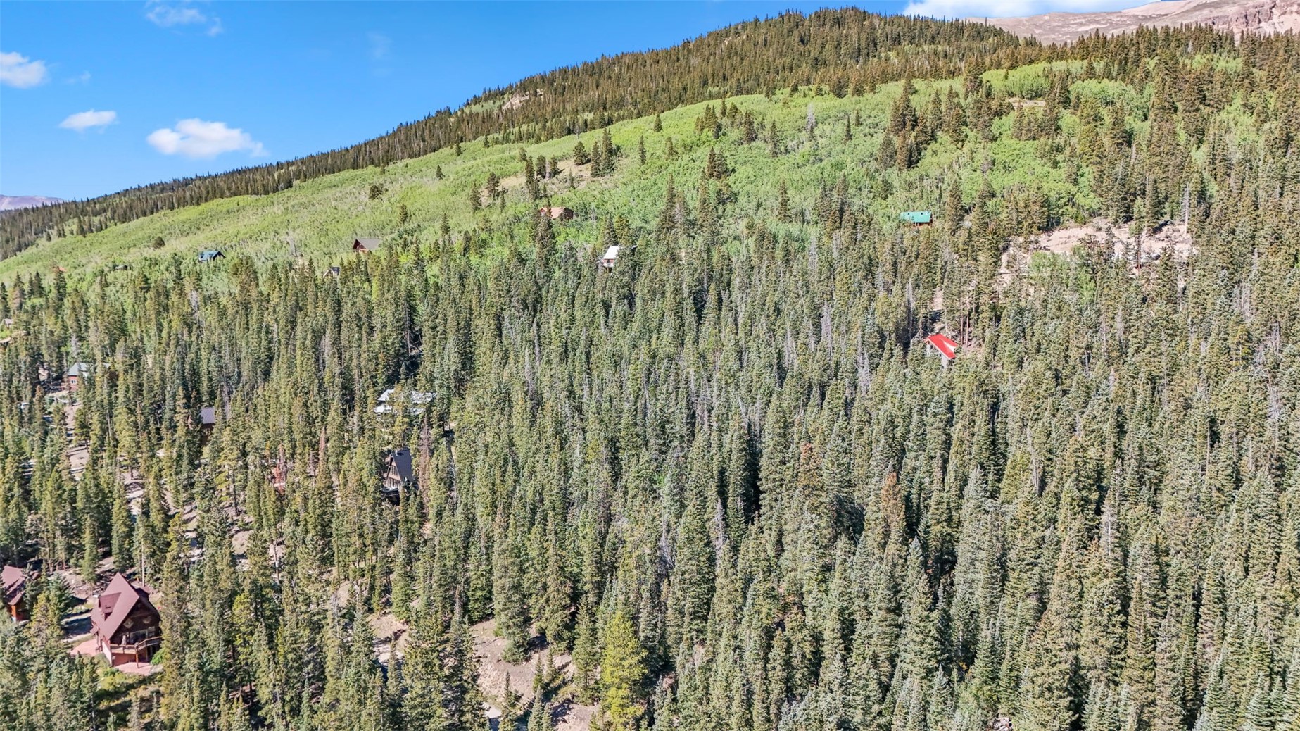289 Ridge Road Alma, CO 80420 - Photo 6 of 25 Gallery Image 6