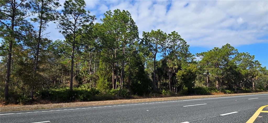 18193 Commercial Way Weeki Wachee, FL 34614 - Photo 2 of 6 a view of a street