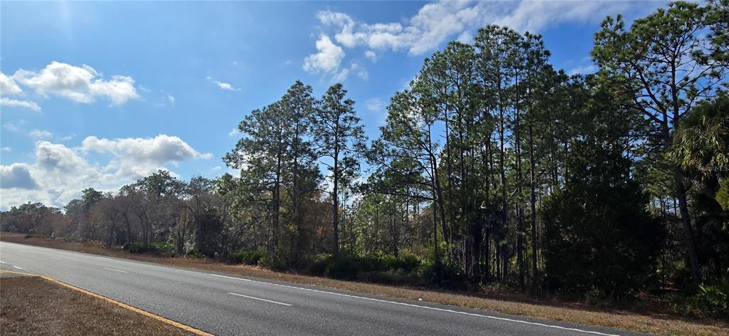 18193 Commercial Way Weeki Wachee, FL 34614 - Photo 3 of 6