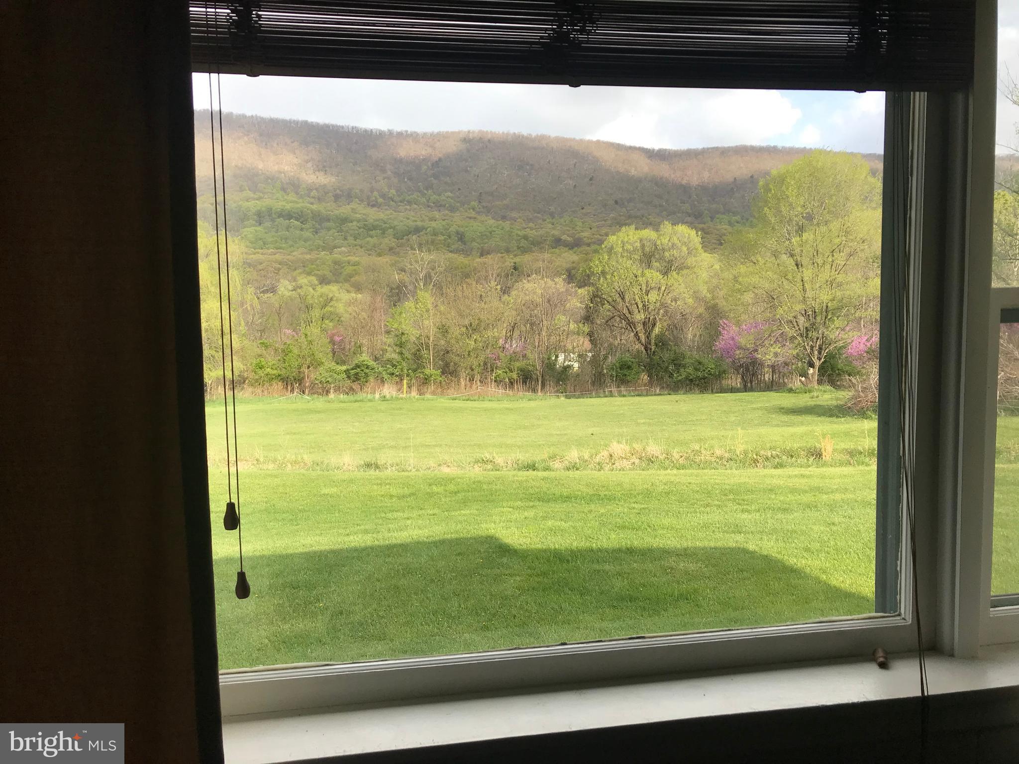 5670 Cold Run Valley Road Berkeley Springs, WV 25411 - Photo 16 of 26 View from Living Room window