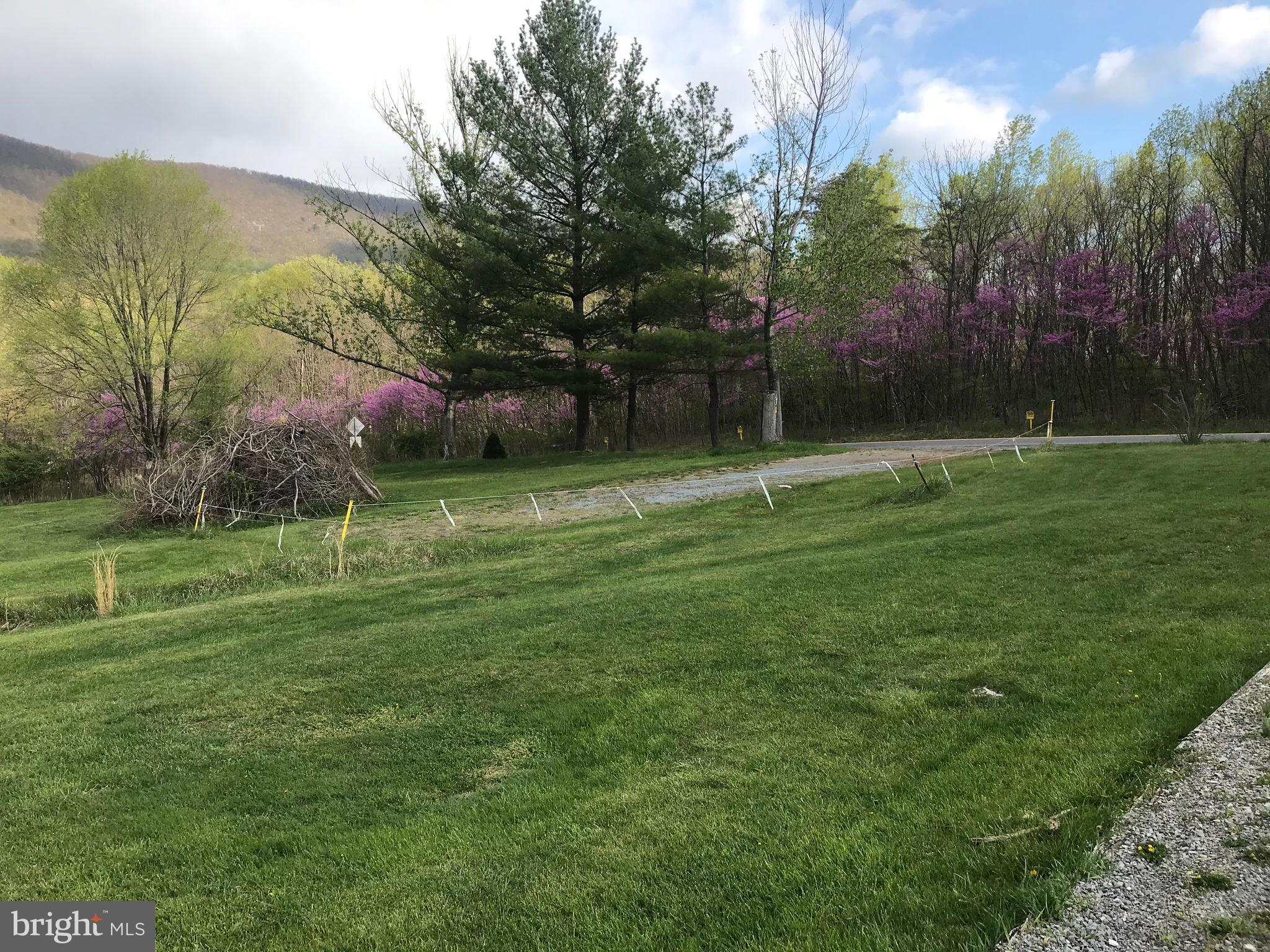 5670 Cold Run Valley Road Berkeley Springs, WV 25411 - Photo 23 of 26 Front Yard
